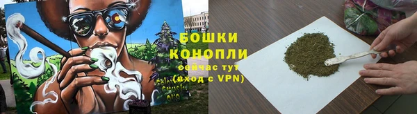 PSILOCYBIN Козловка