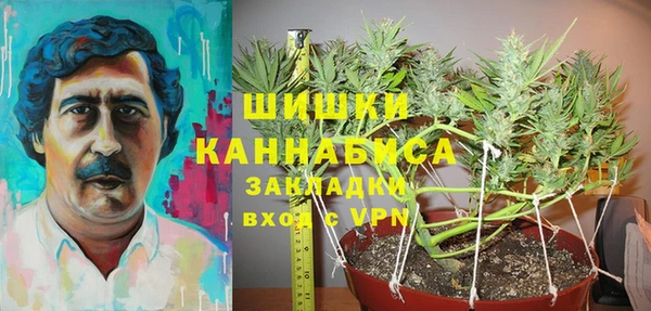 PSILOCYBIN Козловка