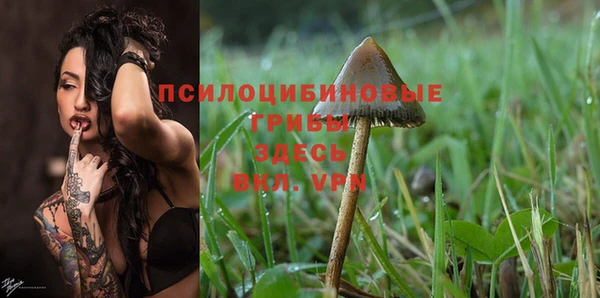 твердый Кодинск