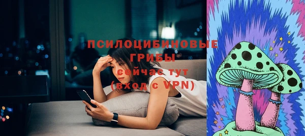 твердый Кодинск