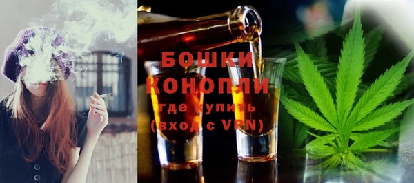 PSILOCYBIN Козловка