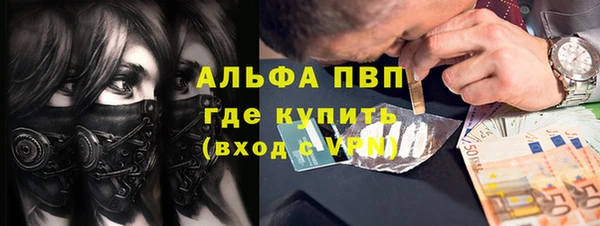 PSILOCYBIN Козловка
