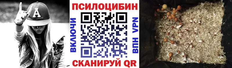 Псилоцибиновые грибы мицелий  Сусуман 